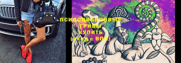 прущая мука Няндома