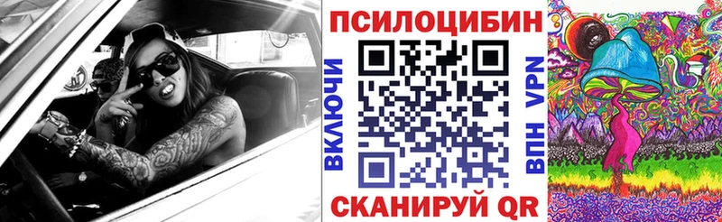 даркнет сайт  Серафимович  Галлюциногенные грибы Psilocybe 